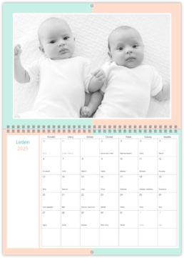 Nástěnný plánovací fotokalendář - Baby