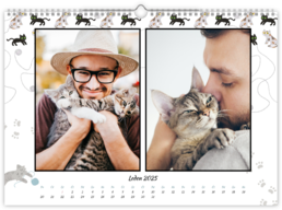 Fotokalendář exklusiv nástěnný měsíční na šířku - Kočky
