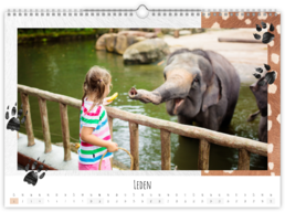 Fotokalendár exkluzív nástenný mesačný na šírku - Zoo