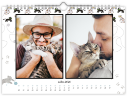 Fotokalendář nástěnný měsíční na šířku - Kočky